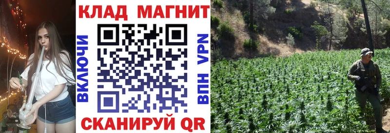 Все наркотики Жиздра Метамфетамин  КОКАИН  Меф  Гашиш  Alpha-PVP 