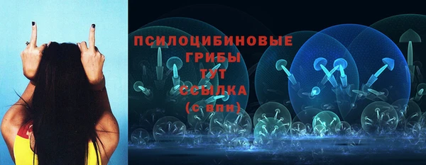 эйфоретик Алзамай