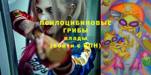 эйфоретик Алзамай