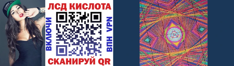 OMG ссылка Жиздра Марки 25I-NBOMe 1,5мг как найти наркотики