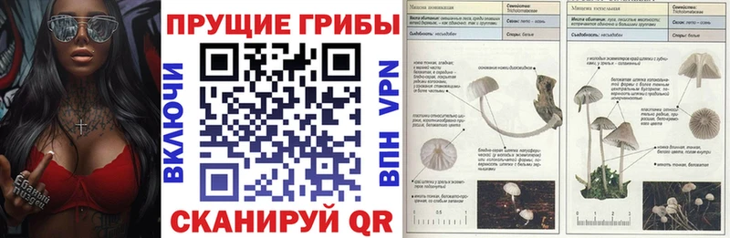 Псилоцибиновые грибы прущие грибы  где купить наркоту  Жиздра 